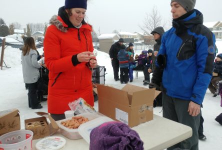 Sherbrooke host to weekend winter fun