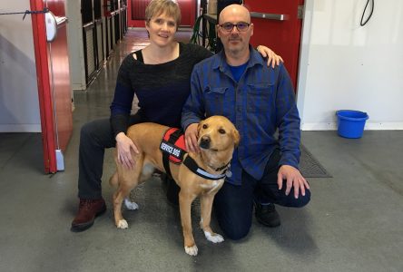 Family pet in training for special mission