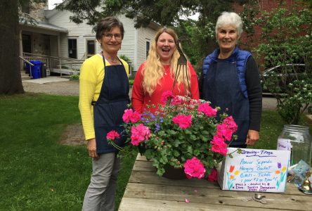 Plant sale raises over $900  for Colby Curtis Museum