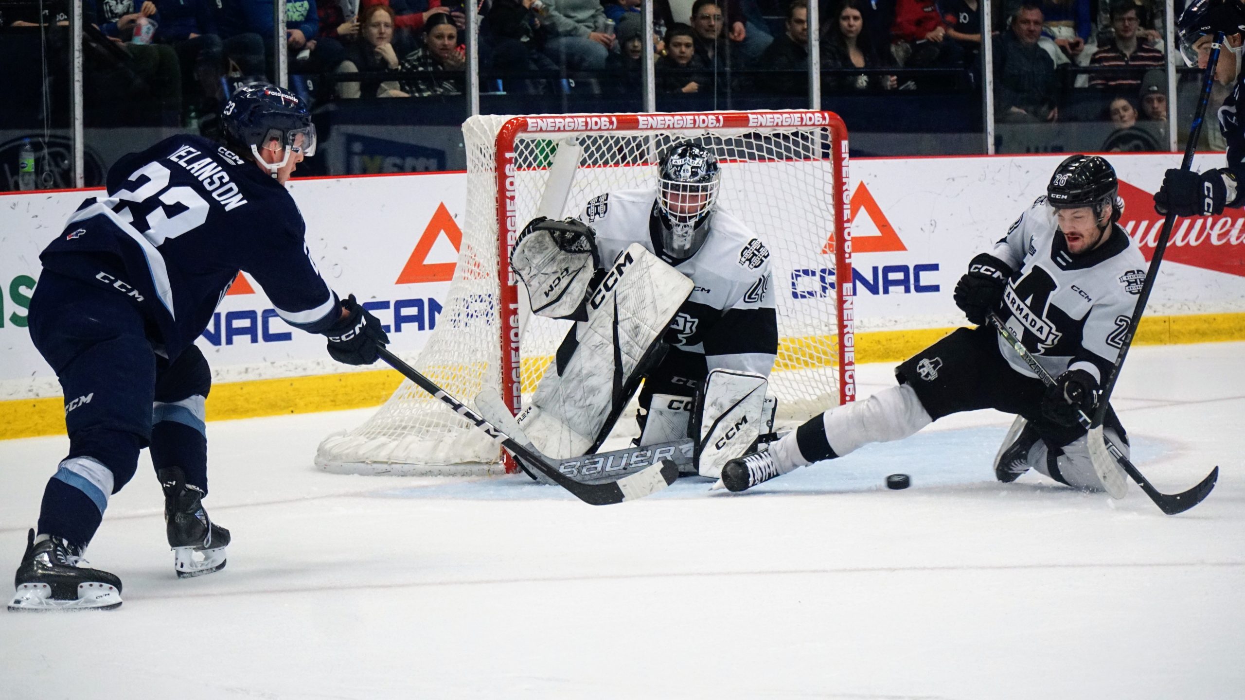 Phoenix lead best of seven series 2 0 vs Armada Sherbrooke Record