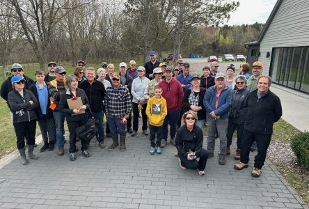 Lac Davignon shoreline spring cleanup