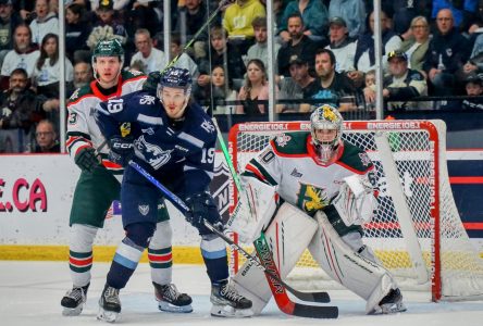 Phoenix lose three straight to Mooseheads, face elimination