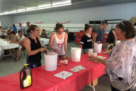 Richmond hosts Canada Day ice cream and strawberry social