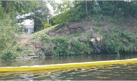 Controversy over shoreline vegetation removal at Lake Davignon