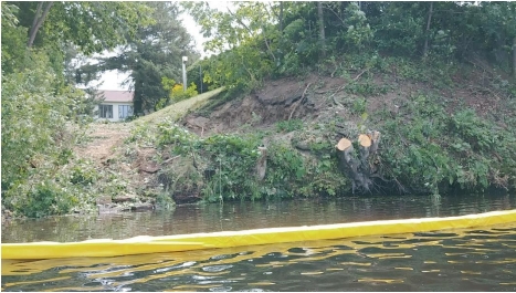 Controversy over shoreline vegetation removal at Lake Davignon